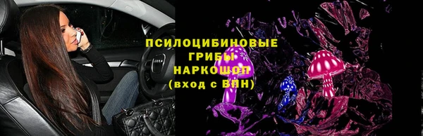 индика Касимов