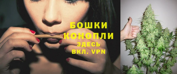 спайс Карпинск