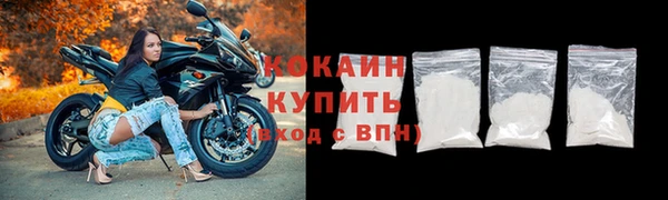 индика Касимов