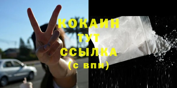 индика Касимов
