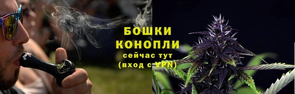 спайс Карпинск