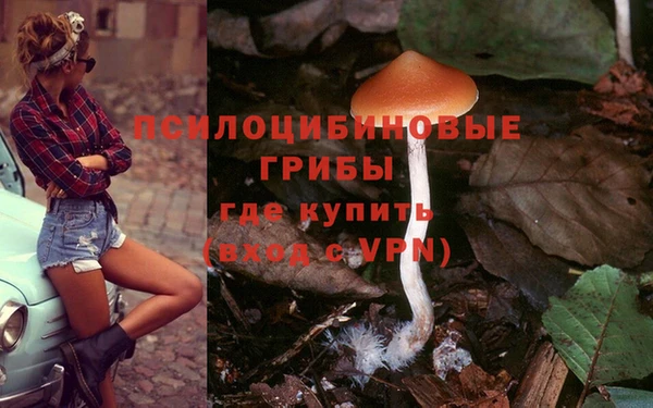 индика Касимов