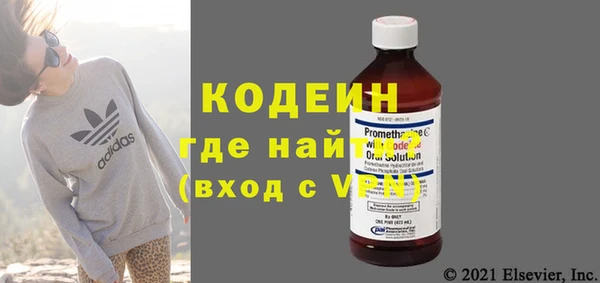 индика Касимов