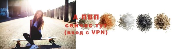 индика Касимов