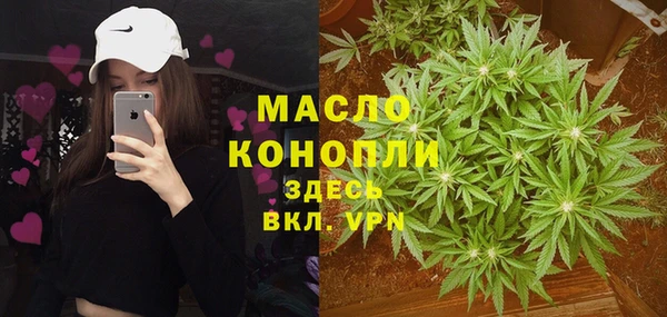 индика Касимов