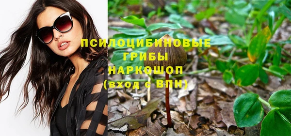 соль ск Карталы
