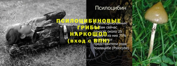 индика Касимов