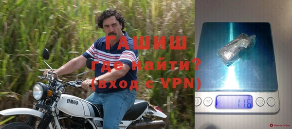 индика Касимов