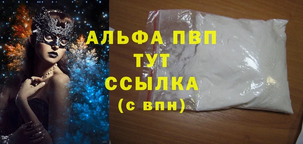 индика Касимов