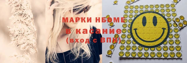 индика Касимов