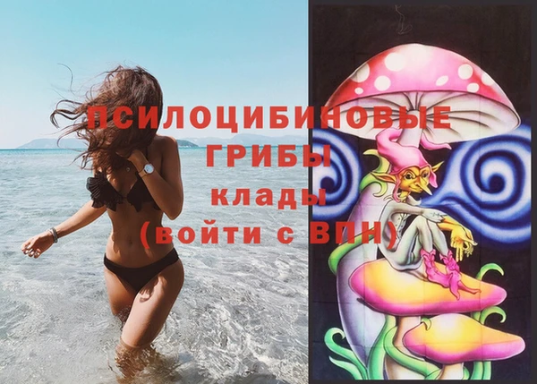 индика Касимов