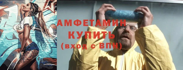 индика Касимов