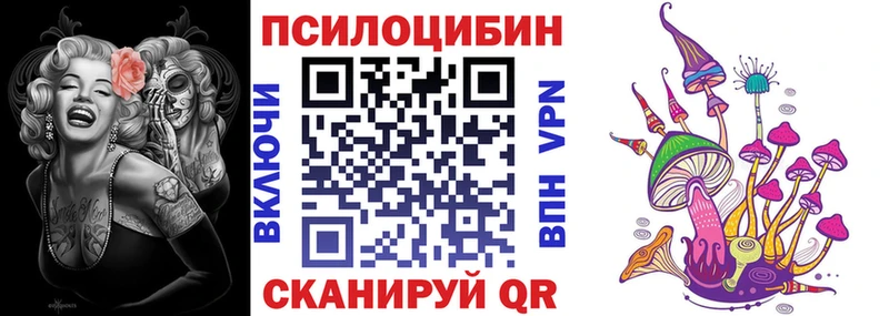 Псилоцибиновые грибы Psilocybe Дальнегорск