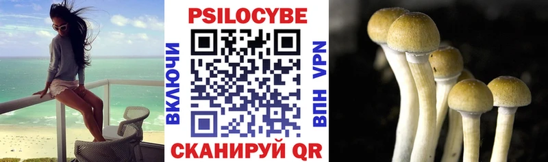 Галлюциногенные грибы ЛСД  Купить где  Дальнегорск 